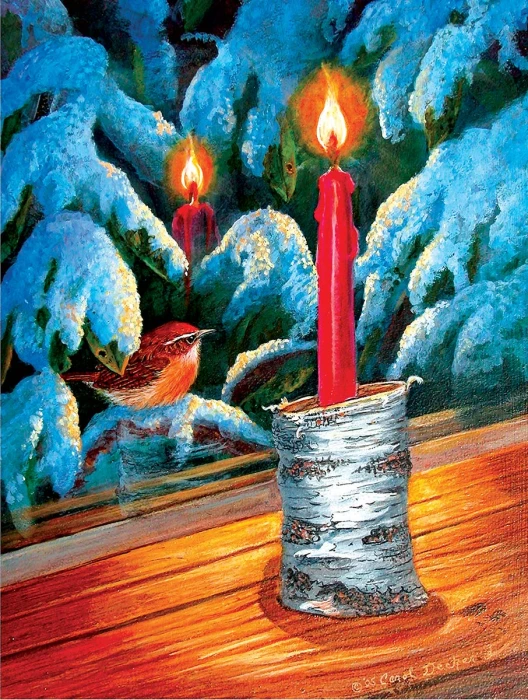 xxl-pieces-northern-nights-jigsaw-puzzle-300-pieces.79848-1.fs.jpg