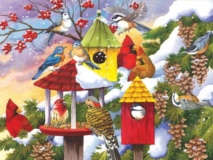 xxl-pieces-meeting-at-the-birdfeeder-jigsaw-puzzle-300-pieces.80293-1.fs.jpg