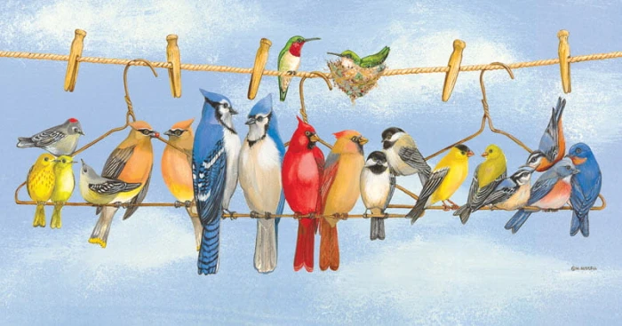 xxl-pieces-hanging-out-jigsaw-puzzle-300-pieces.80112-1.fs.jpg