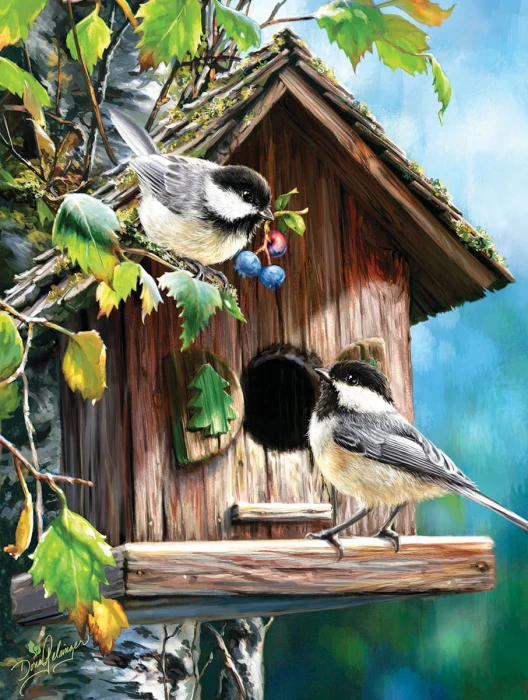 xxl-pieces-at-home-sweet-home-jigsaw-puzzle-300-pieces.80236-1.fs.jpg