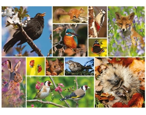 otter-house-puzzle-rspb-great-british-wildlife-jigsaw-puzzle-1000-pieces.81018-1.fs.jpg