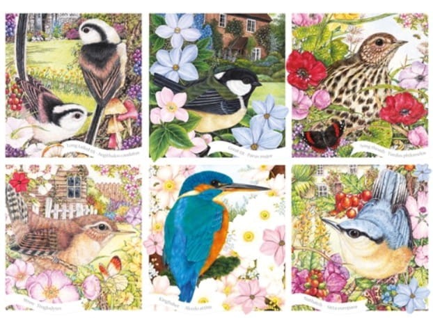 otter-house-puzzle-rspb-garden-birds-jigsaw-puzzle-1000-pieces.81012-1.fs.jpg