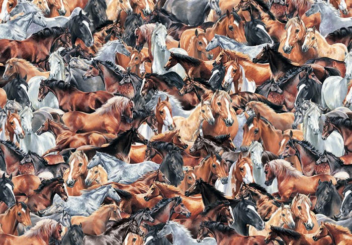 otter-house-puzzle-impossible-puzzle-horses-jigsaw-puzzle-500-pieces.79336-1.fs.jpg