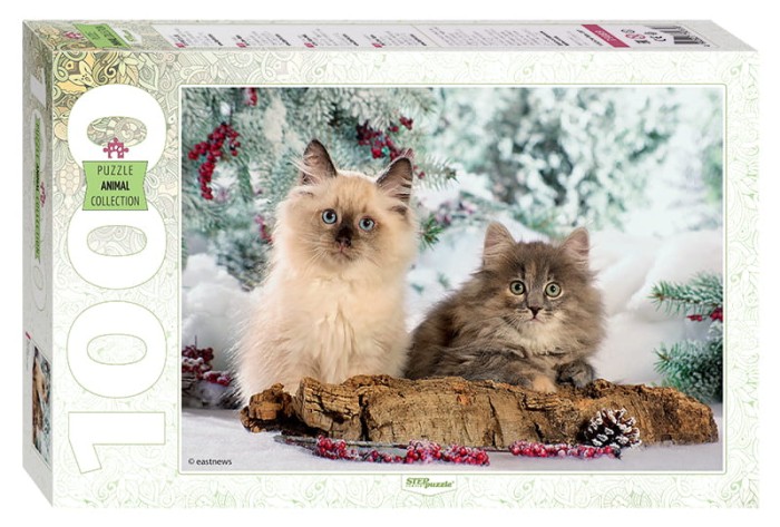 step-puzzle-cats-jigsaw-puzzle-1000-pieces_60281-1_fs.jpg