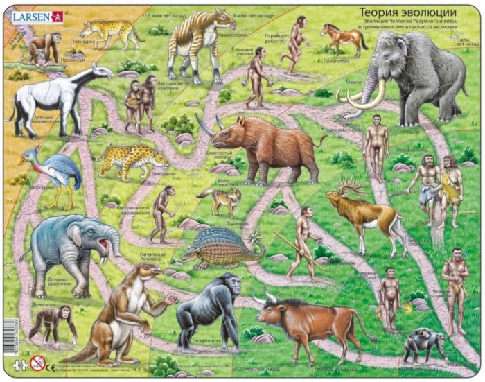 puzzle-cadre-levolution-humaine-en-russe-puzzle-83-pieces.59495-1.fs.jpg