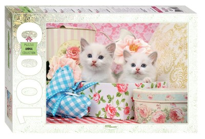 Step Puzzle 1000 - Kittens