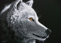 schim-schimmel-wolf-light-jigsaw-puzzle-1500-pieces.59780-1.fs.jpg