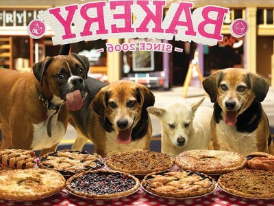 Cobble Hill / Outset Media  500 XXL Pieces - Who Wants Pie?