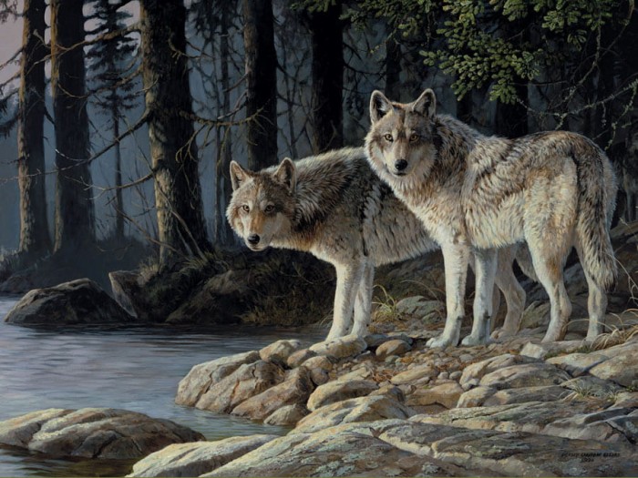 cobble-hill-outset-media-xxl-pieces-shades-of-gray-jigsaw-puzzle-500-pieces.64935-1.fs.jpg