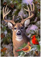 cobble-hill-outset-media-xxl-pieces-one-deer-two-cardinals-jigsaw-puzzle-500-pieces.65012-1.fs.jpg