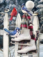 cobble-hill-outset-media-xxl-pieces-birds-with-skates-jigsaw-puzzle-500-pieces.77163-1.fs.jpg