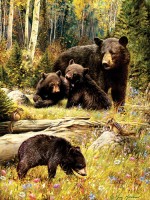 cobble-hill-outset-media-xxl-pieces-bears-jigsaw-puzzle-500-pieces.77172-1.fs.jpg