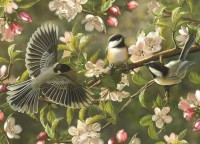 cobble-hill-outset-media-xxl-pieces-chickadeedeedees-jigsaw-puzzle-500-pieces.77181-1.fs.jpg