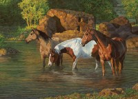 cobble-hill-outset-media-xxl-pieces-horse-pond-jigsaw-puzzle-500-pieces.77183-1.fs.jpg