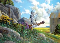 cobble-hill-outset-media-xxl-pieces-take-off-jigsaw-puzzle-500-pieces.77196-1.fs.jpg