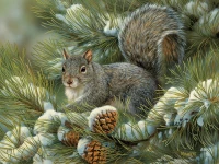 cobble-hill-outset-media-xxl-pieces-gray-squirrel-jigsaw-puzzle-275-pieces.77204-1.fs.jpg
