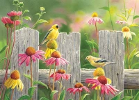 cobble-hill-outset-media-xxl-pieces-pink-and-gold-jigsaw-puzzle-275-pieces.77205-1.fs.jpg
