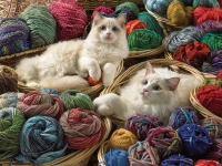 cobble-hill-outset-media-xxl-pieces-ragdolls-jigsaw-puzzle-275-pieces.77199-1.fs.jpg