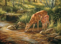 cobble-hill-outset-media-xxl-pieces-deer-family-jigsaw-puzzle-350-pieces.76961-1.fs.jpg
