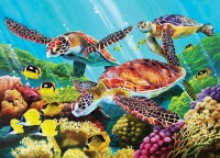 cobble-hill-outset-media-xxl-pieces-molokini-current-jigsaw-puzzle-350-pieces.64929-1.fs.jpg