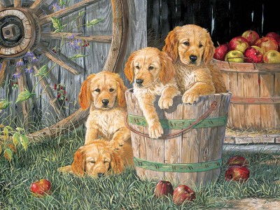 Cobble Hill 350 XXL - Family Puzzle: Puppy Pals