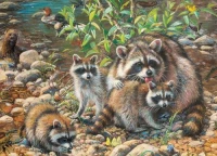 cobble-hill-outset-media-xxl-pieces-raccoon-family-jigsaw-puzzle-350-pieces.64926-1.fs.jpg