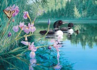 xxl-pieces-iris-cove-loons-cobble-hill-outset-media.81462-1.fs.jpg