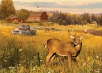 xxl-pieces-deer-field-cobble-hill-outset-media.81464-1.fs.jpg