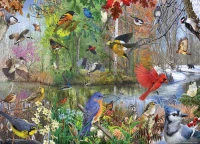 birds-of-the-season-cobble-hill-outset-media.81430-1.fs.jpg