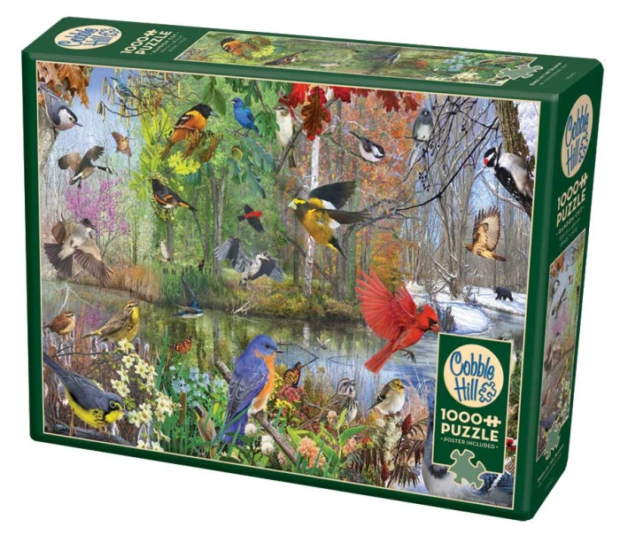birds-of-the-season-cobble-hill-outset-media.81430-2.fs.jpg