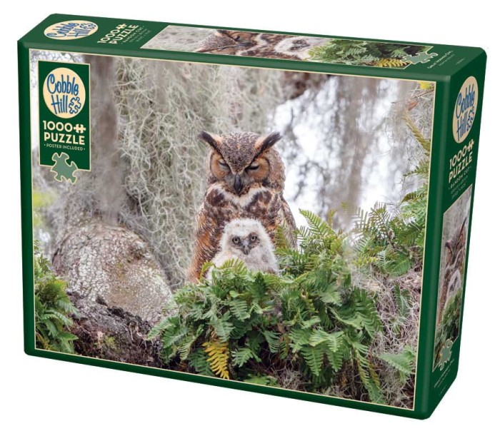 great-horned-owl-cobble-hill-outset-media.81469-2.fs.jpg
