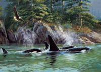 orcas-cobble-hill-outset-media.81471-1.fs.jpg