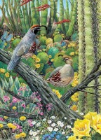 courtship-cobble-hill-outset-media.81472-1.fs.jpg