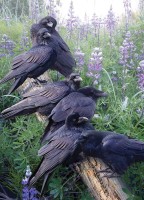raven-rendezvous-cobble-hill-outset-media.81473-1.fs.jpg