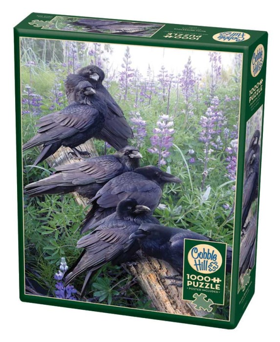 raven-rendezvous-cobble-hill-outset-media.81473-2.fs.jpg