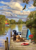 dog-day-afternoon-cobble-hill-outset-media.81475-1.fs.jpg