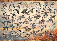 ducks-of-north-america-cobble-hill-outset-media.81439-1.fs.jpg