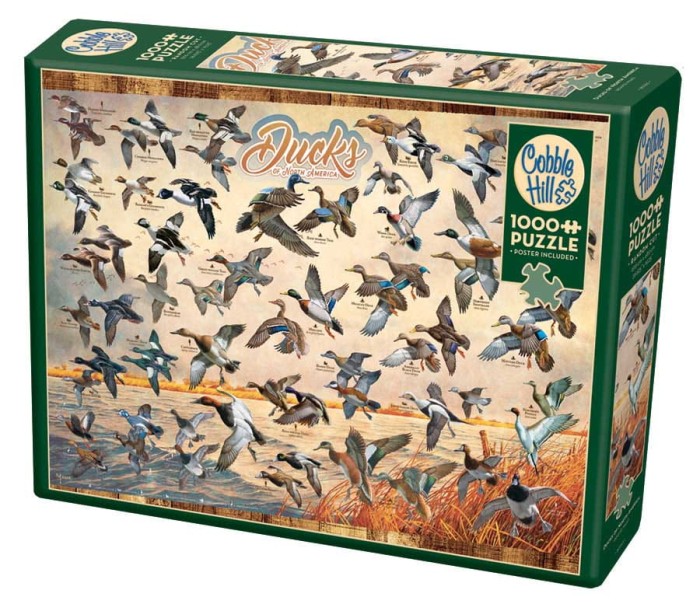 ducks-of-north-america-cobble-hill-outset-media.81439-2.fs.jpg