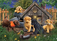 cobble-hill-outset-media-in-the-doghouse-jigsaw-puzzle-1000-pieces.81481-1.fs.jpg