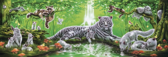 step-puzzle-at-the-waterfall-jigsaw-puzzle-1000-pieces_60315-1_fs.jpg