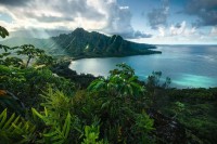 view-of-hawaii.81668-1.fs.jpg