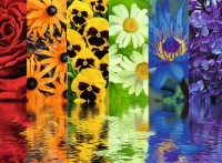 floral-reflections-jigsaw-puzzle-500-pieces.81673-1.fs.jpg