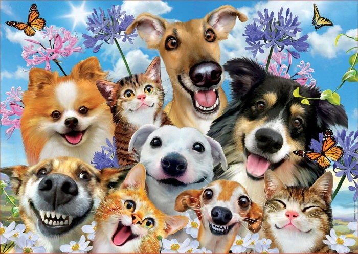 selfies-jigsaw-puzzle-500-pieces.72790-1.fs.jpg