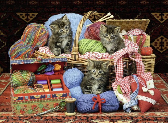 fluffy-pleasure-jigsaw-puzzle-500-pieces.62760-1.fs.jpg