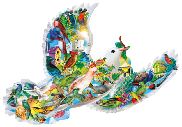 aimee-stewart-feathered-friends-jigsaw-puzzle-1000-pieces_64402-1_fs.jpg