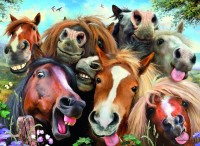 selfies-horsing-around-jigsaw-puzzle-500-pieces.52489-1.fs.jpg