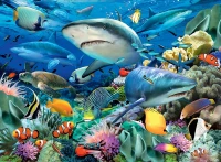 xxl-pieces-reef-of-the-sharks-jigsaw-puzzle-100-pieces.57622-1.fs.jpg