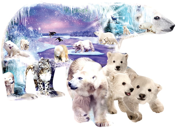 alixandra-mullins-polar-world-jigsaw-puzzle-1000-pieces_64404-1_fs.jpg