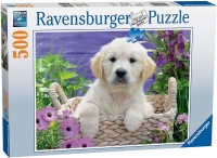 golden-retriever-jigsaw-puzzle-500-pieces.81621-2.fs.jpg