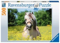 horse-in-the-field-of-flowers-jigsaw-puzzle-500-pieces.81647-2.fs.jpg